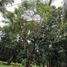  Land for sale in Calamba City, Calabarzon, Calamba City