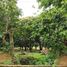  Land for sale in Calamba City, Calabarzon, Calamba City