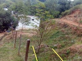  Land for sale in Tolima, Melgar, Tolima