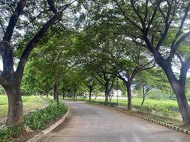  Land for sale at Stonecrest, San Pedro City