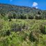  Terreno (Parcela) en venta en Ranco, Los Ríos, Lago Ranco, Ranco