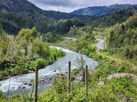  Terreno (Parcela) en venta en Ranco, Los Ríos, Lago Ranco, Ranco