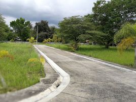  Land for sale in Carcar City, Cebu, Carcar City