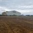  Terrain for sale in Ancud, Chiloe, Ancud