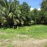  Land for sale in Badian, Cebu, Badian