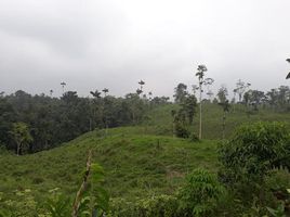  Grundstück zu verkaufen in Puerto Quito, Pichincha, Puerto Quito, Puerto Quito