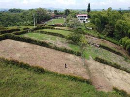  Land for sale in Pereira, Risaralda, Pereira