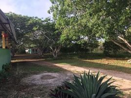  Grundstück zu verkaufen in Uman, Yucatan, Uman