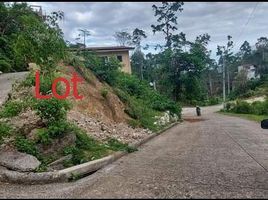  Grundstück zu verkaufen in Cebu City, Central Visayas, Cebu City, Cebu, Central Visayas, Philippinen