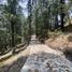 Terrain à vendre à Mineral Del Chico, Hidalgo, Mineral Del Chico