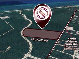  Grundstück zu verkaufen in Cozumel, Quintana Roo, Cozumel