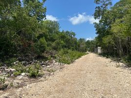 Terrain à vendre à Cozumel, Quintana Roo, Cozumel