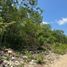 Terrain à vendre à Cozumel, Quintana Roo, Cozumel