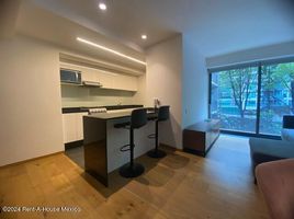 2 Habitación Apartamento en alquiler en Miguel Hidalgo, Ciudad de México, Miguel Hidalgo, Ciudad de México