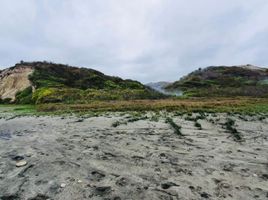  Terreno (Parcela) en venta en La Pila, Montecristi, La Pila