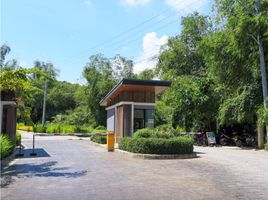 在Compostela, Cebu出售的 土地, Compostela