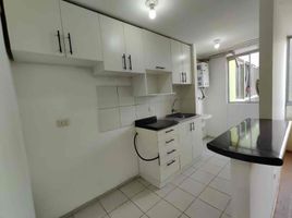 Appartement 3 chambre à vendre à San Martin De Porres, Lima, San Martin De Porres, Lima, Lima