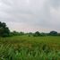  Terreno (Parcela) en venta en Naic, Calabarzon, Naic