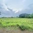  Terreno (Parcela) en venta en Naic, Calabarzon, Naic