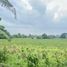  Terreno (Parcela) en venta en Naic, Calabarzon, Naic