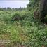  Land for sale in Tanauan City, Batangas, Tanauan City