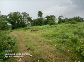  Land for sale in Tanauan City, Batangas, Tanauan City