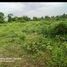  Land for sale in Tanauan City, Batangas, Tanauan City