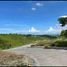  Terreno (Parcela) en venta en Consolacion, Central Visayas, Consolacion, Cebu