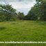  Land for sale in Colombia, Rivera, Huila, Colombia