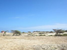  Terrain for sale in Mancora, Talara, Mancora