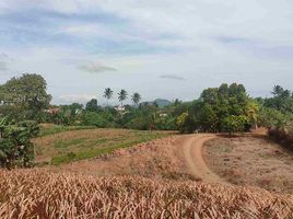  Land for sale in Silang, Cavite, Silang