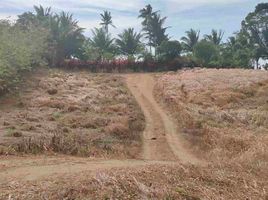  Grundstück zu verkaufen in Cavite, Calabarzon, Silang