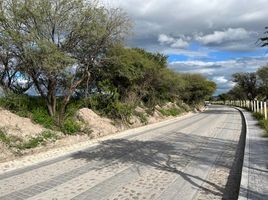  Grundstück zu verkaufen in Allende, Guanajuato, Allende