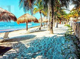 3 Bedroom Apartment for rent in Cozumel, Quintana Roo, Cozumel, Quintana Roo