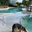 3 Bedroom Apartment for rent in Cozumel, Quintana Roo, Cozumel, Quintana Roo