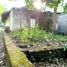 3 Bedroom House for sale in Kasihan, Yogyakarta, Kasihan, Bantul