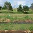  Land for sale in Calamba City, Calabarzon, Calamba City