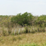  Land for sale in Aldama Tamaulipas, Aldama
