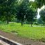  Land for sale at Manila Southwoods Peak V, Carmona