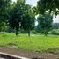  Land for sale at Manila Southwoods Peak V, Carmona