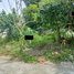  Land for sale in Muntinlupa City, Metro Manila, Muntinlupa City