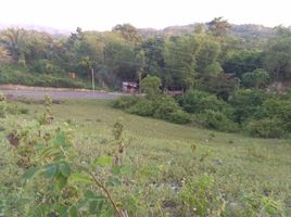  Land for sale in Badian, Cebu, Badian