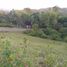  Land for sale in Cebu Central Visayas, Badian
