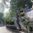 2 Habitación Apartamento en venta en México, Azcapotzalco, Ciudad de México, México