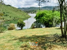  Land for sale in Penol, Antioquia, Penol