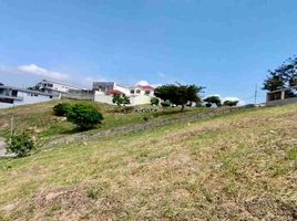  Land for sale in Daule, Guayas, Daule, Daule