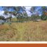  Land for sale in Conocoto, Pichincha, Conocoto, Quito, Pichincha