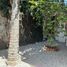 1 Bedroom Apartment for rent in Cuernavaca, Morelos, Cuernavaca, Morelos