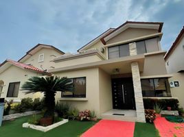 5 Habitación Villa en venta en Guayas, Samborondon, Samborondón, Guayas