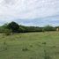  Land for sale in Cartagena, Bolivar, Cartagena